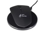 Souris + base induction