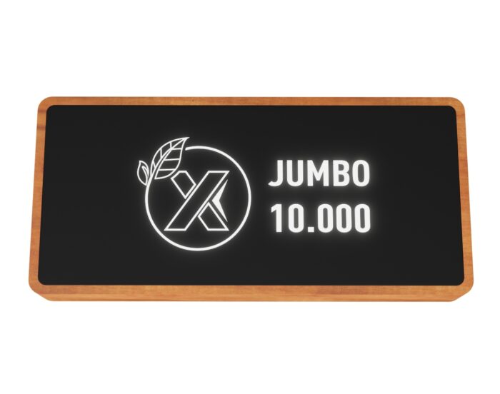 Batterie de secours éco jumbo 10 000 - Image 5