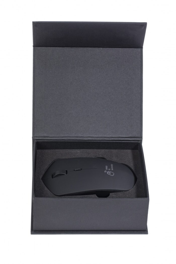 Souris + base induction - Image 3