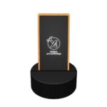 Enceinte Bluetooth 10W + chargeur 2x3W